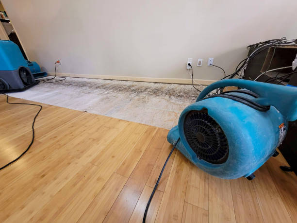 Professional Flood Damage Cleanup technician working in Electric City, WA
